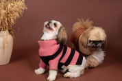 Montpellier Gardens in Sweetheart & Stuffed Fig