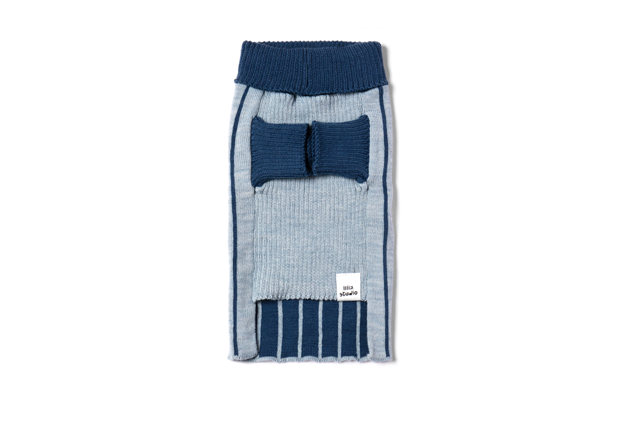 Blue-Jumper_Front_1jpg_Large_13bb8f2e-6199-428d-8fa7-1b98da5c0154.png