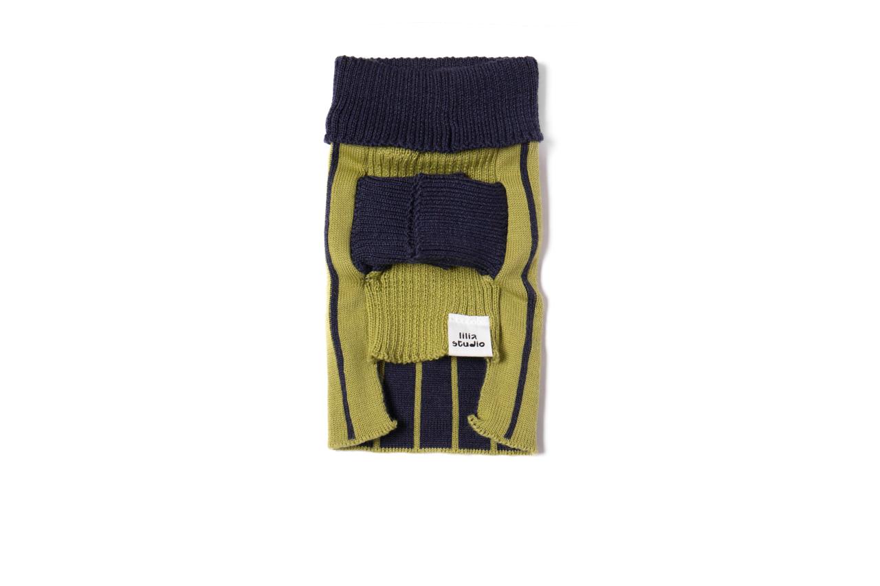 Green-Jumper_Front_Large_ce185b36-e7de-46c6-a6f8-25da88992db1.png