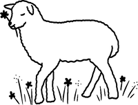 Heart_png.png