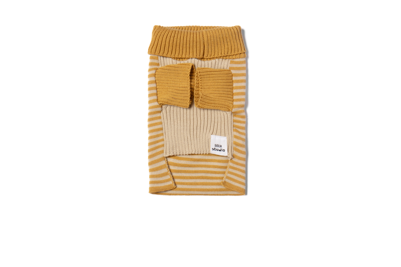 Mustard-Front_Large_1593d0d5-9f77-42a5-bb31-28240a670211.png